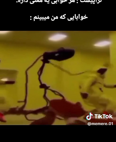 تعرف على لالالا: ظاهرة ممتعة على وسائل التواصل الاجتماعي