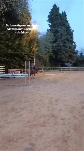 #epsilon#cso#pourtoiii#onyarriverra#poney