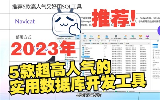 2023年5款高人气的实用数据库工具推荐