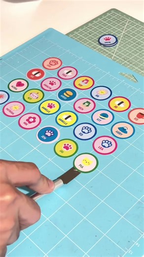 Custom Pickleball Paddle Stickers: Design Your Own!