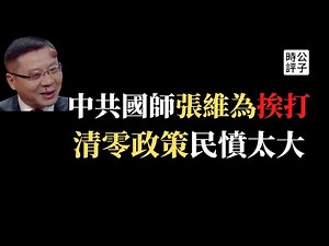 【公子時評】网传复旦国师张维为被打了，网友一片叫好！民意变了？中国社会矛盾只会越来越尖锐！要出事的节奏，还不快跑？