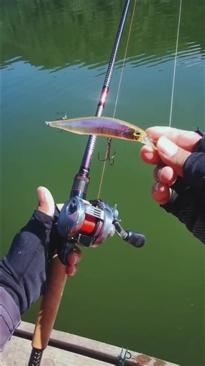 Fish like this and beginners can learn lure fishing fast 🎣🔥#anglerfish #fishtok #fishing #pov #fishinglife