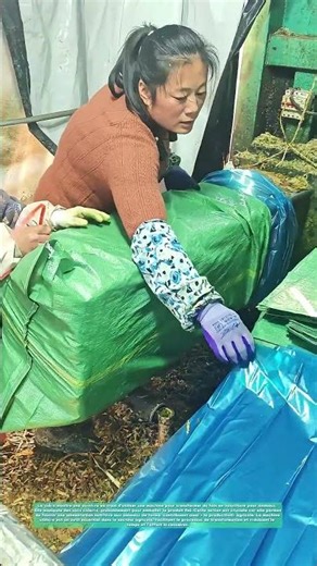 Comment transformer le foin en alimentation animale