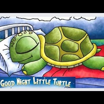 Good Night Little Turtle by David Cunliffe - Read Aloud Book