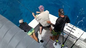 WINTER YELLOW JACKS ON THE REEF.......ALREADY? | FishMonster Key West