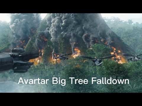 Big tree fall at Avatar
