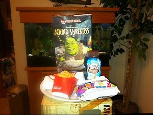 Wendy's Kid's Meal (Spicy Chicken Go Wrap) Review