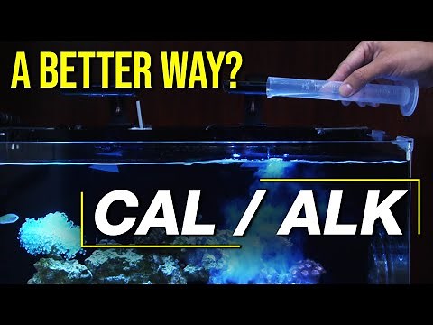 Guaranteed: The Right Calcium & Alkalinity Tool. 2 Part vs. Kalkwasser Slurry vs. Calcium Reactor