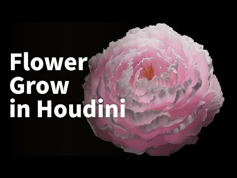 How make organic flower grow | Houdini Tutorial