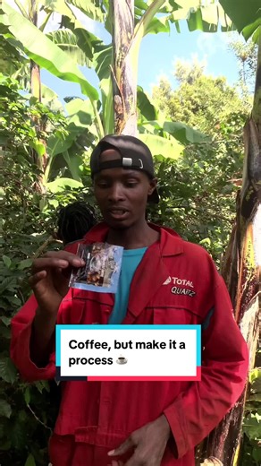 Understanding Coffee Processing: From Bean to Brew