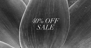 44 reactions · 13 shares | Happening Now: 40% Off Sale Online and In-Boutiques. | St. John | Facebook