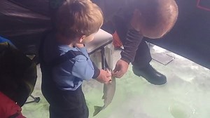 6.3K views · 135 reactions | 4 year old Forrest shows off his fishing skills as he pulls his first Henrys Lake fish through the ice! His ear to ear grin and giggle says it all. | Idaho Fish and Game Upper Snake | Facebook