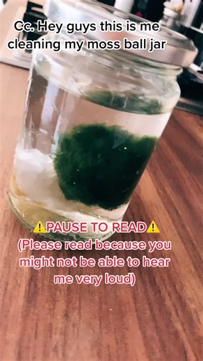 moss.balls.pets on TikTok
