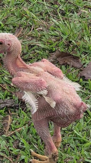 😵‍💫😵‍💫😕