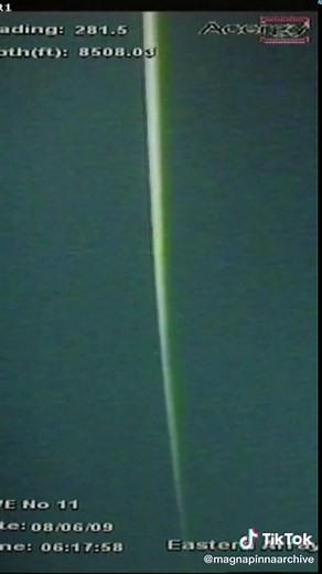 Bigfin squid (magnapinna) footage from 2009 in the Gulf of Mexico #magnapinnasquid #bigfinsquid #creepy #scary #deepsea #ocean