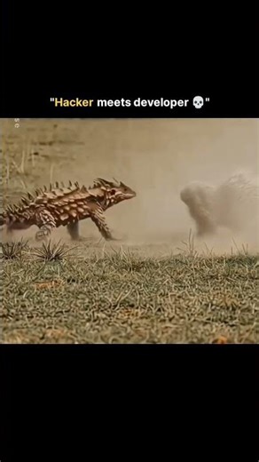 वीडियो लास्ट तक देखें animal meat developer #trending