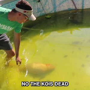 1.8M views · 11K reactions | My Koi Fish Was Poisoned | RAWWFishing | Facebook