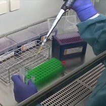 Video: Prediction of HIV-1 Coreceptor Usage Tropism by Sequence Analysis using a Genotypic Approach