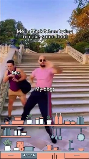 When your dog wants to be involved no matter what