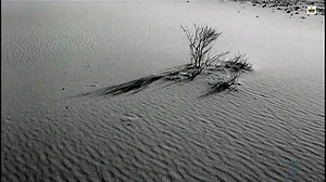 Eagles 2007 - How Long