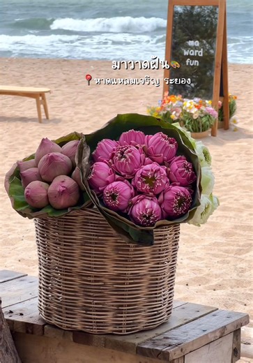 มาวาดฝันพร้อมเสิร์ฟดอกบัวให้ทุกคนน😆🙌🏻🪷 แวะมาถ่ายรูปกันได้เลยน้าาา ดอกบัวฟรีมีให้ยืมถ่ายทุกวันเล้ยยย เจนซีไปกันต๊อออ🥰🤗 **วันที่ 6 เมษายน 69 นี้ร้านก็เปิดน้าา✅ เปิดพิเศษๆเลยย จันทร์นี้มาวาดฝันไม่หยุด เย้!!!** ช่วงสงกรานต์🌸💦 ร้านมาวาดฝันเปิดตั้งแต่วันที่ 10-19 เมษายน 9.00-20.00น. ยาวๆเลยค่า แวะมาเจอกันน้าาา 🥰🎉💕✅ มาวาดฝัน 🎨 ระบายสีผ้าบาติก | เพ้นท์กระเป๋าผ้า/หมวก/ขวดแก้ว/แจกัน/แผ่นไม้/จัดกรอบรูป/พวงกุญแจ/ถ่ายรูปโพลารอยด์ และอื่นๆอีกมากมาย😆 📍หาดแหลมเจริญ ระยอง (ตั้ง google map “มาวาดฝัน