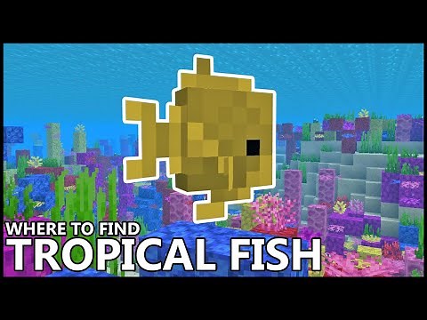 Where To Find TROPICAL FISH In MINECRAFT