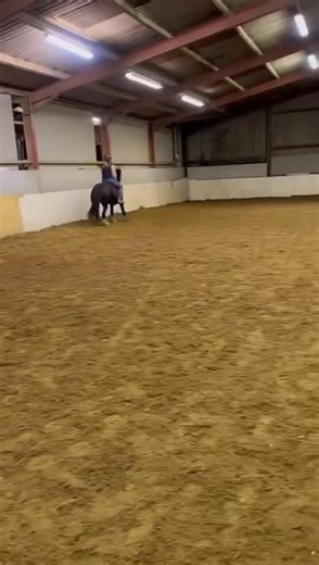 𝗘𝗻𝘁𝗲𝗿𝗲𝗱 𝗳𝗼𝗿 𝘁𝗵𝗲 𝘀𝗮𝗹𝗲 - 𝗦𝗮𝘁𝘂𝗿𝗱𝗮𝘆 𝟮𝟭𝘀𝘁 𝗙𝗲𝗯𝗿𝘂𝗮𝗿𝘆 ⭐️𝗟𝗢𝗧 𝟲𝟭⭐️ RUBY 9-Year-Old Black Gypsy Cob Mare, 13.2hh. Ruby is looking for a new rider. She loves to jump and is forward going. She has been there and done it. She is good to hack alone or in company, isn’t bothered going behind or in front. Has done cross country, hunting, schooling and a lot of hacking. She is up to date in vaccines, good to shoe, bath and clip. She will stand all day to be groomed. Just 