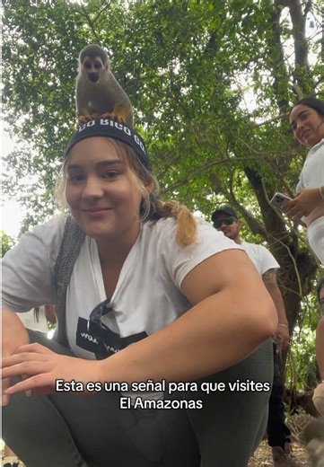 Explora el Amazonas con Ontour: Aventura Responsable