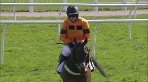 1.9K views · 24 reactions | Bodega enjoyed the good ground to win the 1:50 Be Wiser Insurance Handicap Steeple Chase Newbury Racecourse | ITV Racing | Facebook