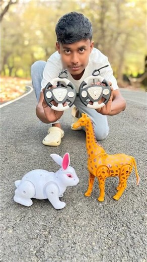 Remote Control 2Ta Khargosh And Rc Big Giraffe Unboxing & Testing 😱