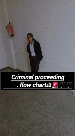 criminal proceeding flow chart 💯⚖️⚖️