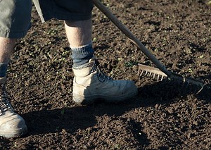 How To Prepare Your Soil For A New Lawn
