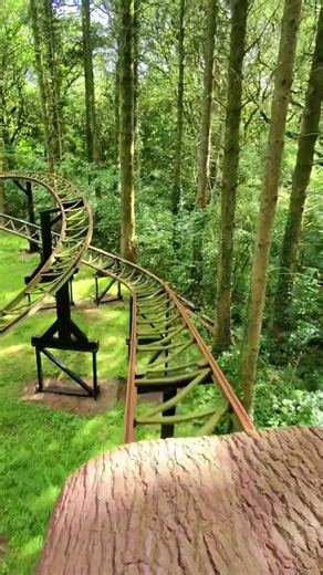 Take a ride through the treetops at Oakwood Theme Park! Treetops weaves through the woodland on the edge of the park, providing a magical adventure through the trees. Securely filmed with Meta smart glasses. #rollercoaster #themepark #oakwood #amusementpark #ride #thrill #fun #rides #treetops #rayban #raybanmeta #tiktok #pov