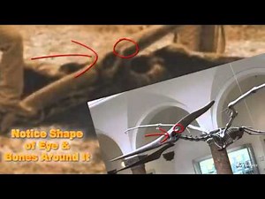 The dinosaur in the civil war