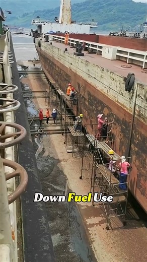 “Why Are Ship Bottoms Painted Red？ The Toxic Truth Beneath the Waves”. | Chill But Real