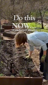 152K views · 724 reactions | Now’s the perfect time to plant garlic...