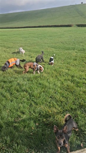 Brain games | Take the Lead with Linnet