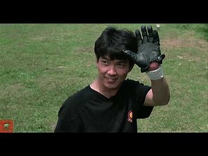 Yuen Biao vs. Cynthia Rothrock in Righting Wrongs