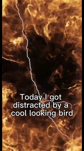 Day 8 : Finally remembered there can be music ❤️‍🩹🙏#gamedev #computerscience #devlog