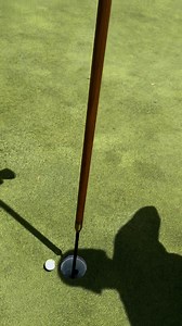 🦅 | Austin Dillon