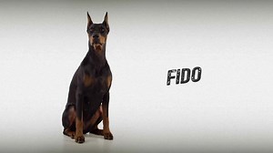 25 reactions · 4 comments | Need help resisting your phone while driving? Let Fido help. Join the Resistance. | Zero Fatalities | Facebook