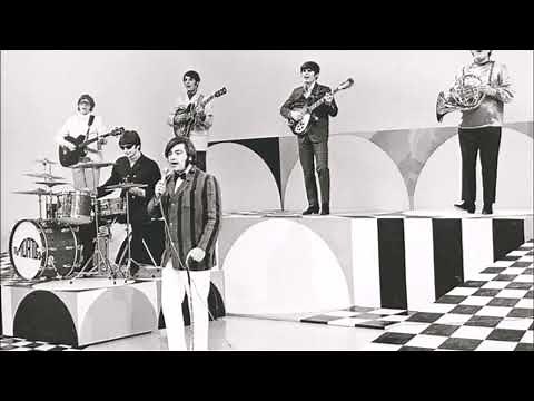 The Turtles - Happy Together (1967) 🎵🎶