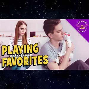 Let’s face it - we’ve all felt the sting of rejection when our cat chooses our partner, or roommate, or friend over us, when it comes to showing their affections 😻 🙀 In this video, Daniela asks why Waffle is choosing her boyfriend Jeremy over her. Can anything be done to sway your cat's affections in your direction? Watch now to find out! https://www.youtube.com/watch?v=V25VdKcNbU8&feature=youtu.be&ab_channel=JacksonGalaxy | Jackson Galaxy