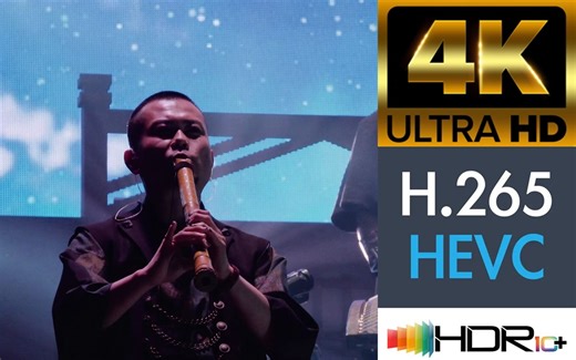 【蓝光原盘4K演唱会】和乐器乐队 2017 日本东京体育馆演唱会（一） Wagakki Band Daishinnenkai Tokyo D1