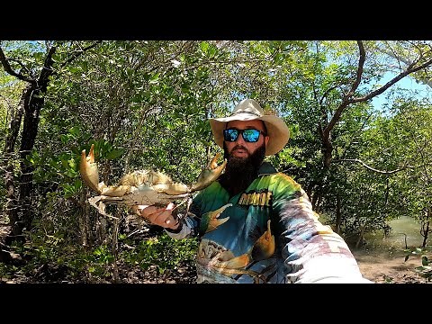 Mud Crab Catch and Cook - 3 different recipe's