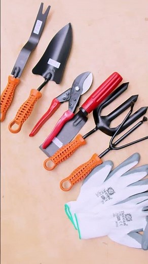 Beginner Gardening Tool Kit | Must-Have Tools for Every Plant Parent