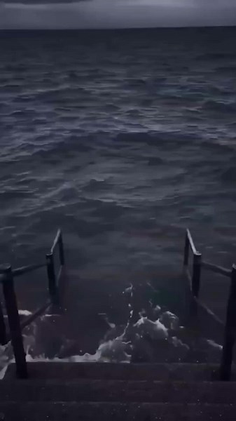 おもしろ動画とジョーク集