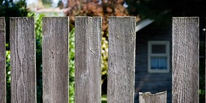 Is the law on your side? 4 common neighbour disputes
