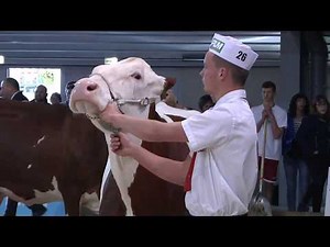 Montbéliard Prestige 2018 en direct