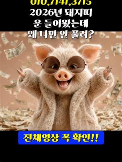 2026년 돼지띠, 운은 이미 들어왔습니다 (지금 힘든 분들 꼭 보세요)
